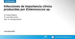 Infecciones de importancia clínica producidas por Enterococcus sp.