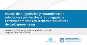 Pautas de diagnóstico y tratamiento de infecciones por bacilos Gram negativos extremadamente resistentes productores de carbapenemasas