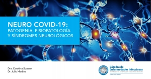 NEURO COVID-19: Patogenia, Fisiopatología y Síndromes Neurológicos.