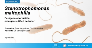 Stenotrophomonas maltophilia. Patógeno oportunista emergente difícil de tratar.