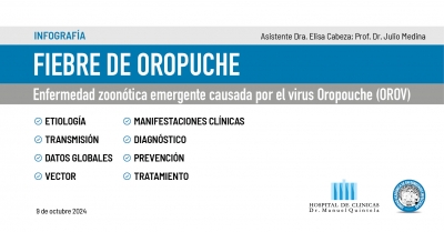 Fiebre de Oropuche - Infografía