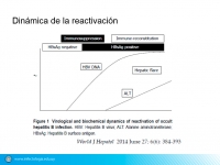 Prevención de reactivación de hepatitis B en pacientes reumatológicos tratados con biológicos